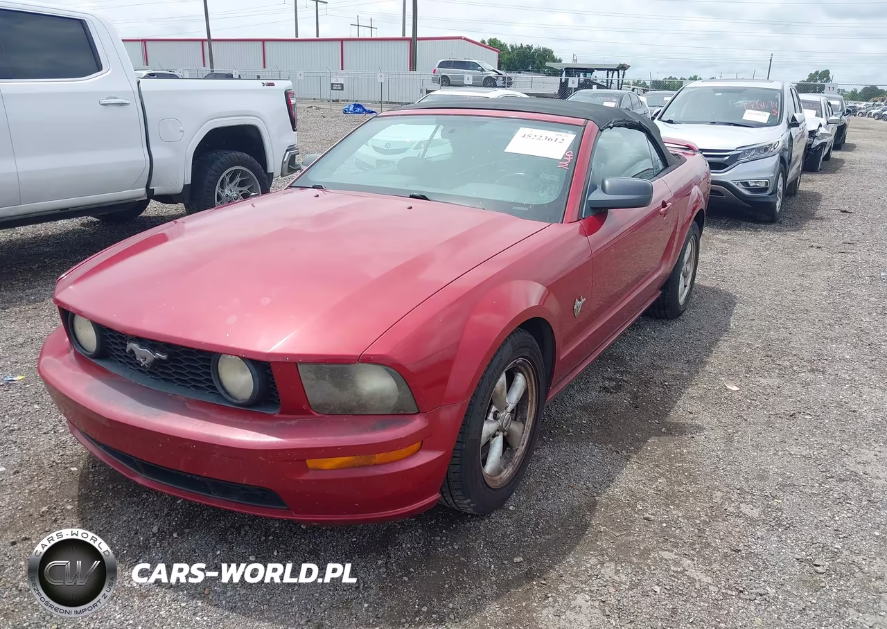 2009 Ford Mustang Gt Premium VIN:1ZVHT85H695101399 - 2