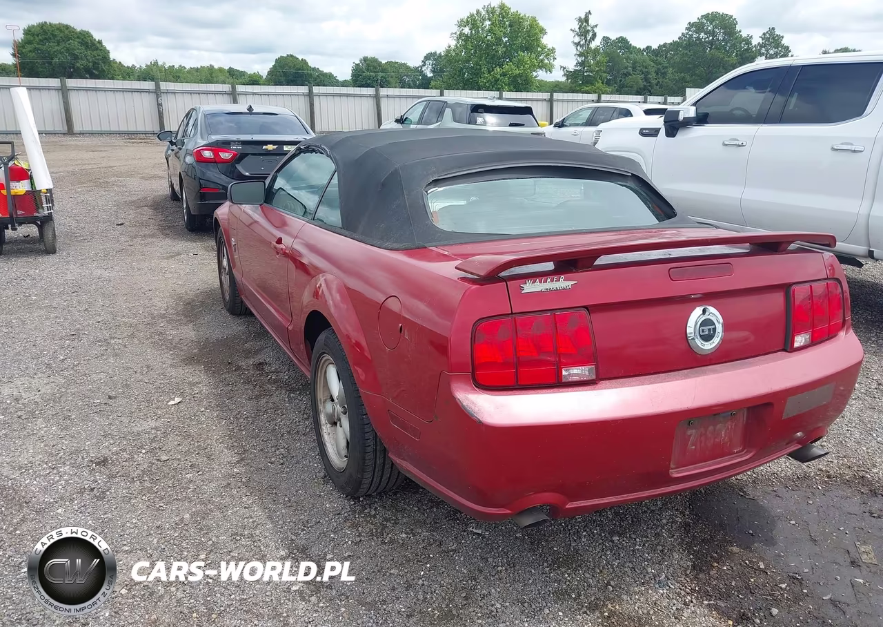 2009 Ford Mustang Gt Premium VIN:1ZVHT85H695101399 - 3