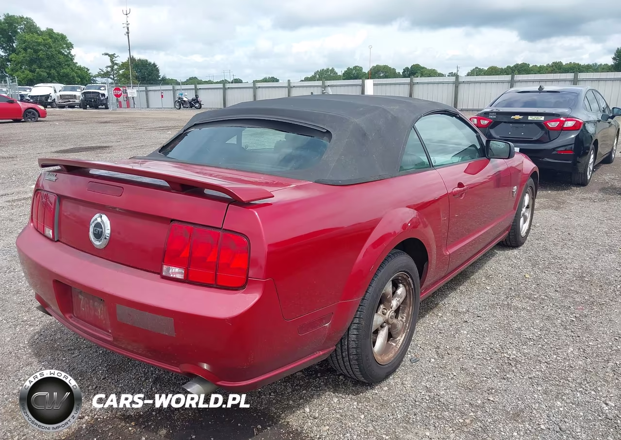 2009 Ford Mustang Gt Premium VIN:1ZVHT85H695101399 - 4