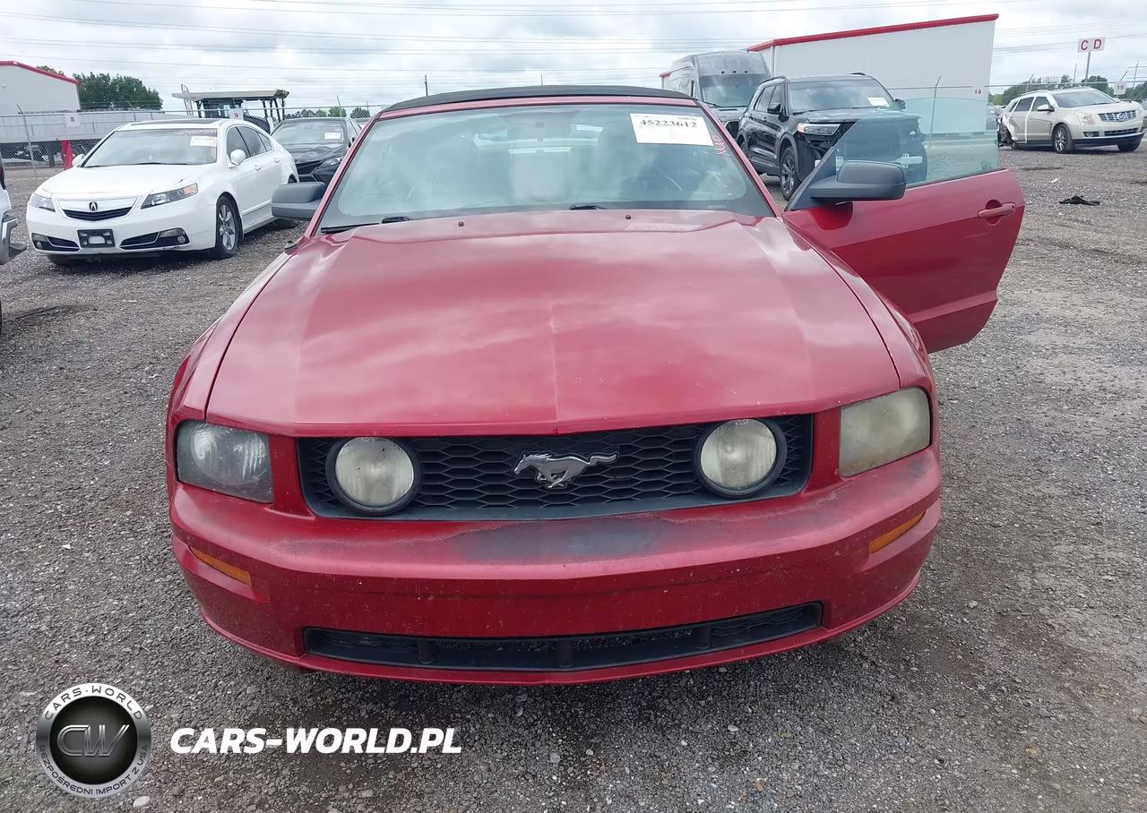 2009 Ford Mustang Gt Premium VIN:1ZVHT85H695101399 - 6