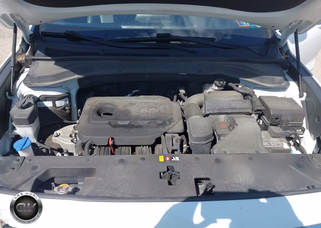 2020 Hyundai Santa Fe Sel VIN:5NMS3CAD6LH249300 - 10