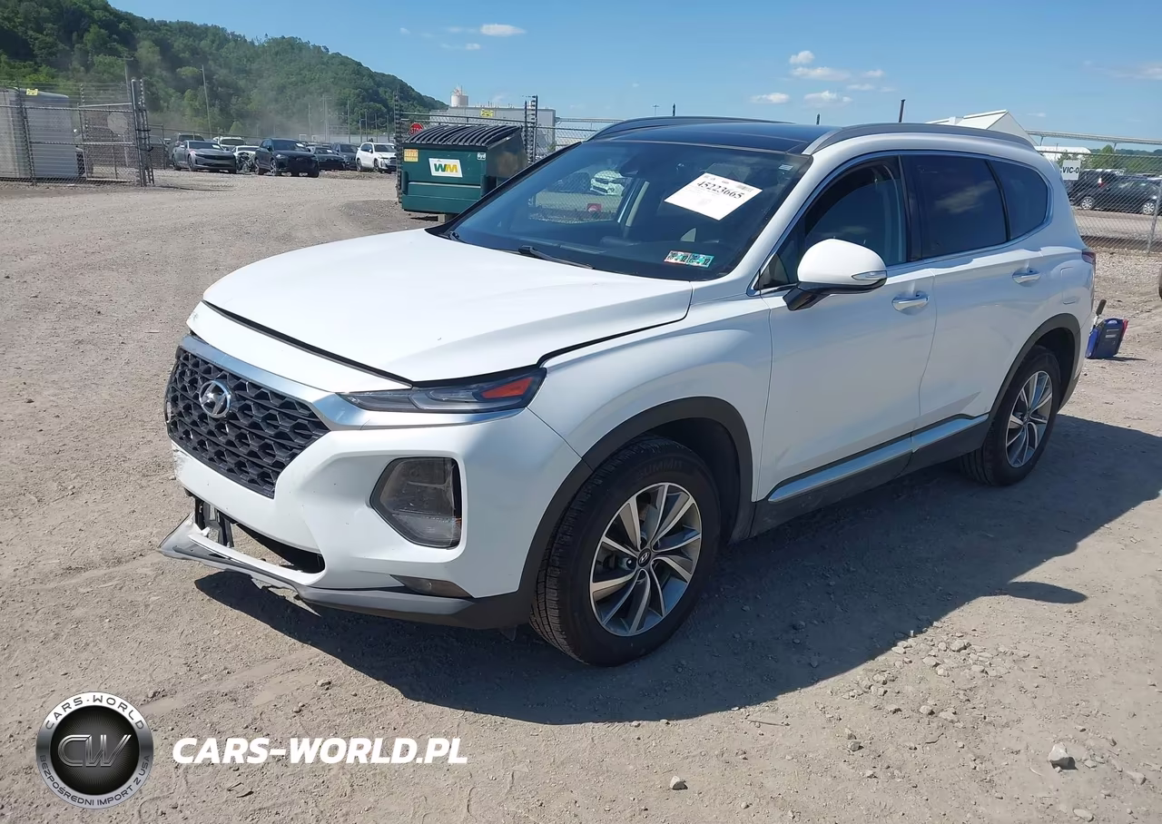 2020 Hyundai Santa Fe Sel VIN:5NMS3CAD6LH249300 - 2