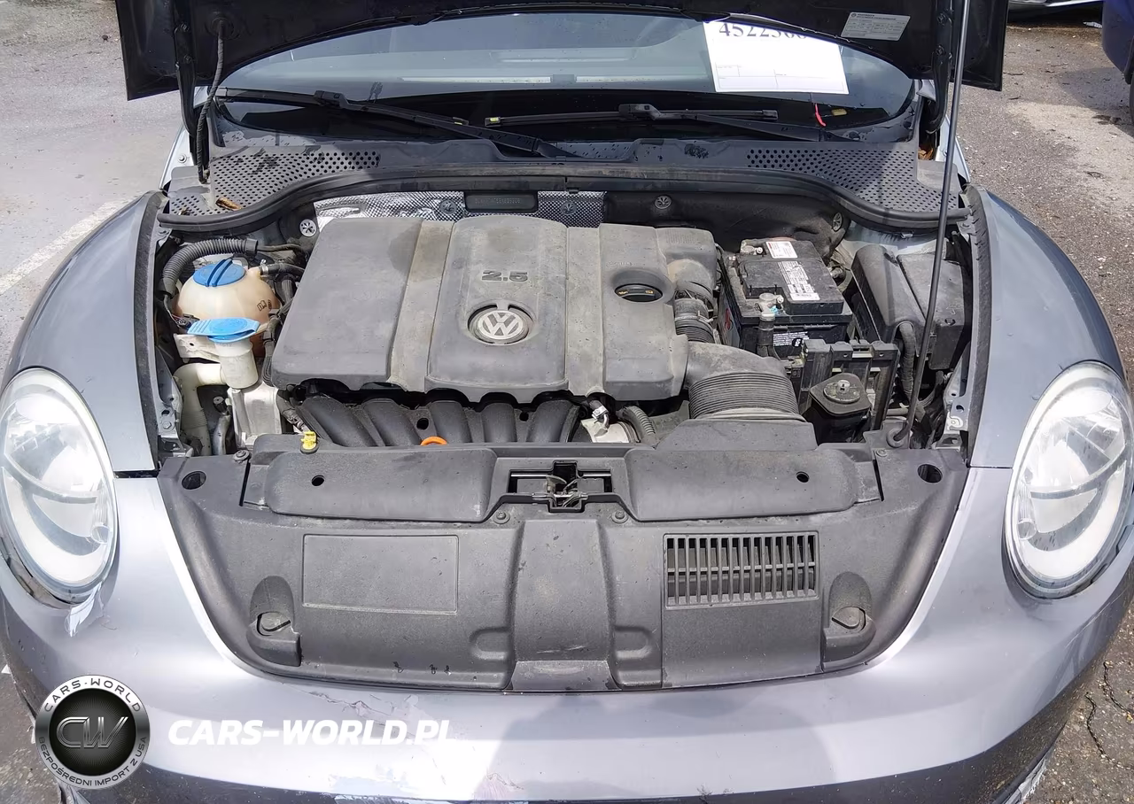 2014 Volkswagen Beetle 2.5L Entry VIN:3VWFP7AT8EM625206 - 10