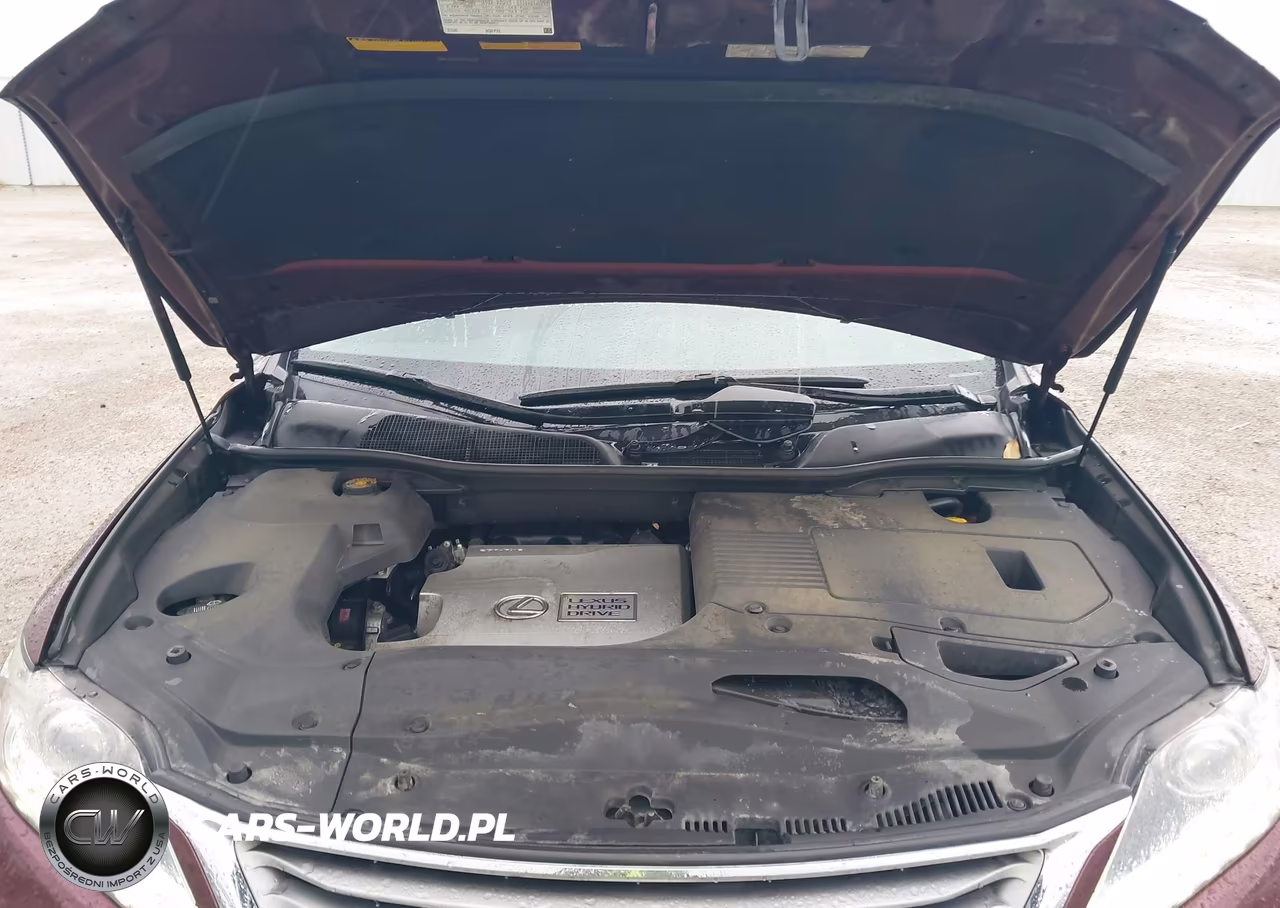 2013 Lexus Rx 450H VIN:JTJBC1BA5D2062237 - 10