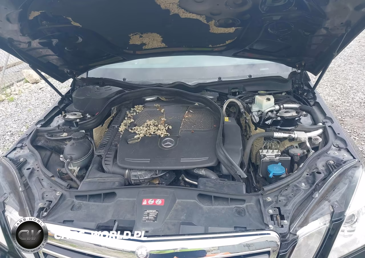 2012 Mercedes-Benz E 350 VIN:WDDHF5KBXCA616046 - 10