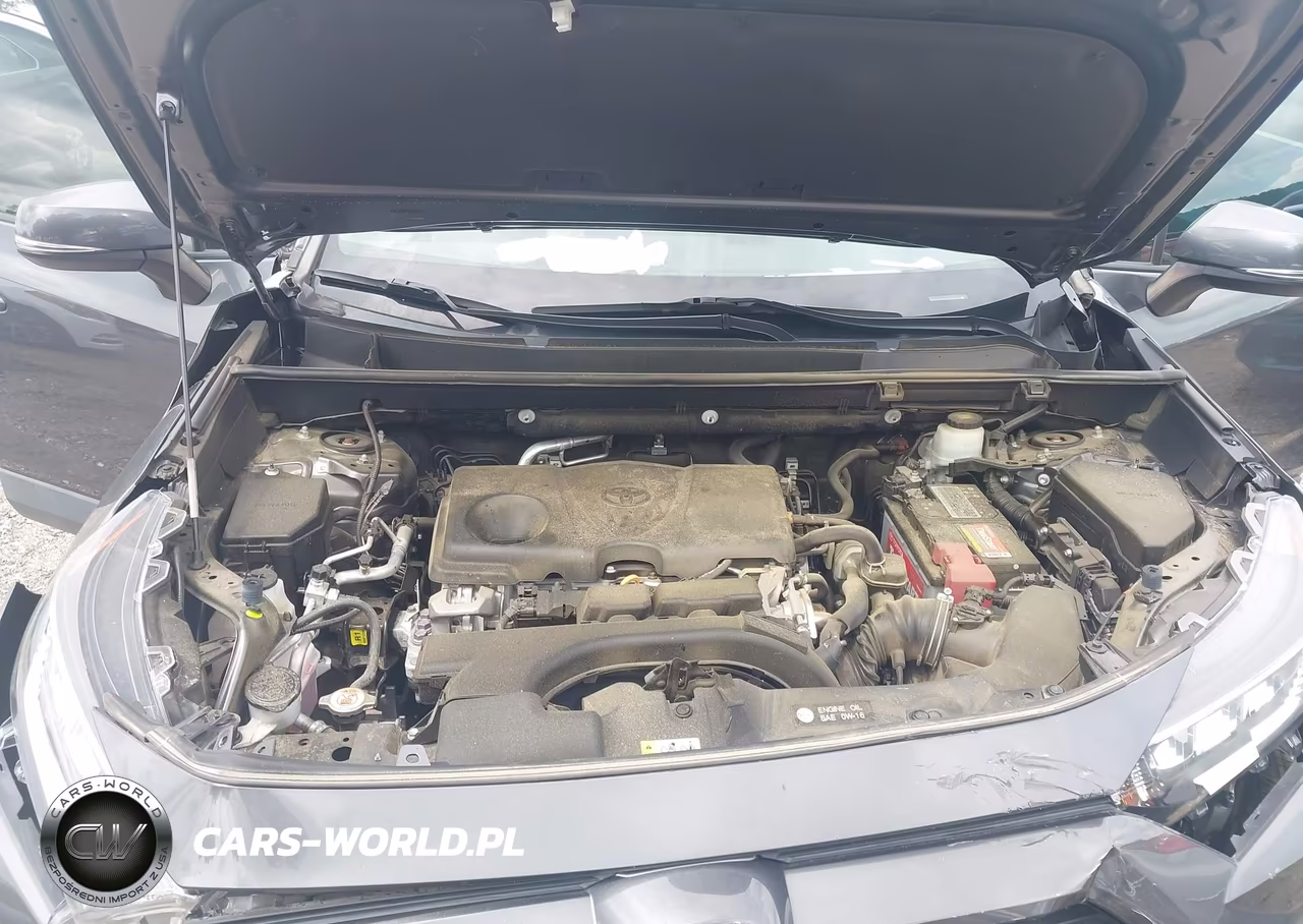 2020 Toyota Rav4 Xle Premium VIN:2T3C1RFV1LC062154 - 10