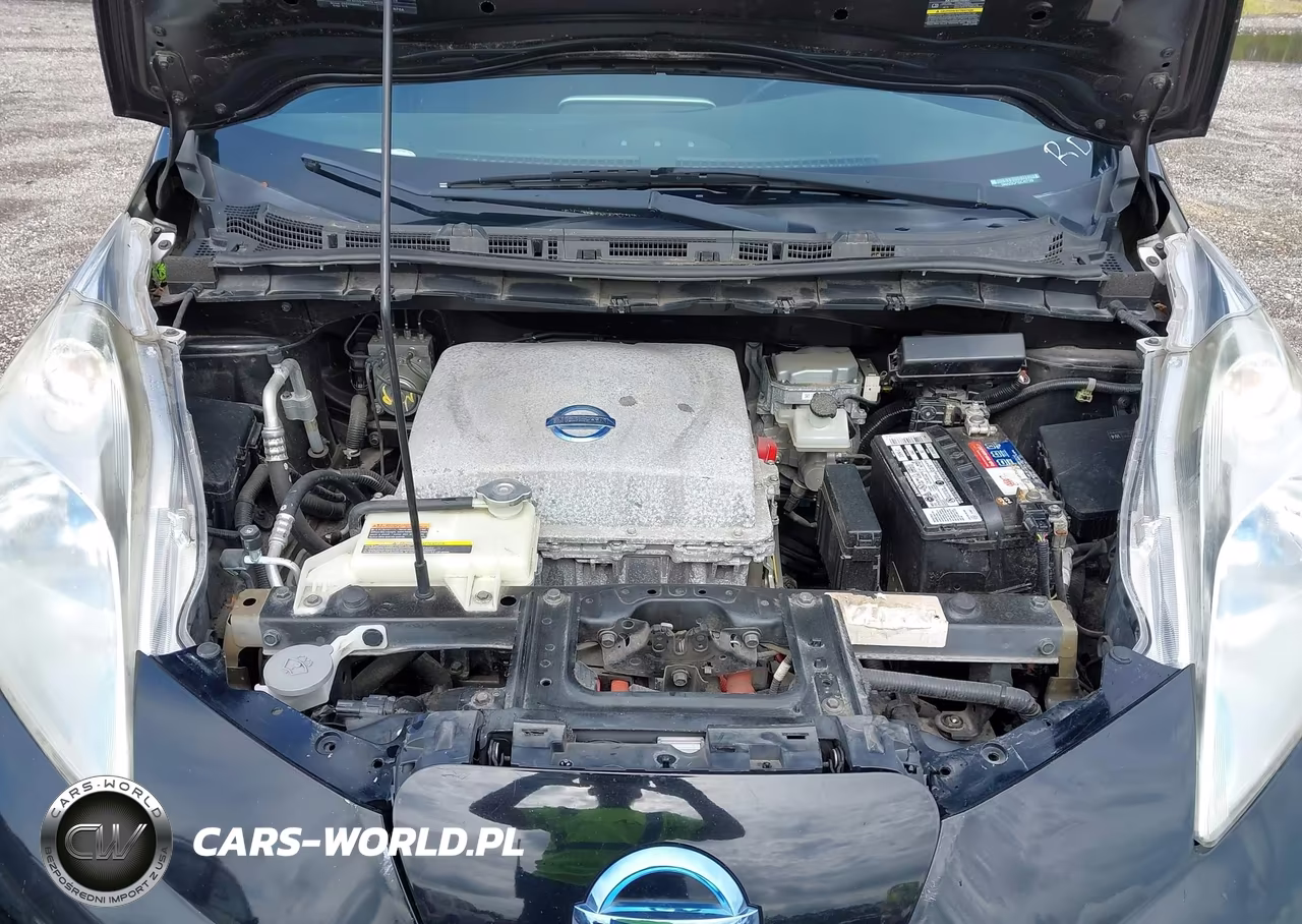 NISSAN LEAF VIN:1N4AZ0CP1DC407189 - 10