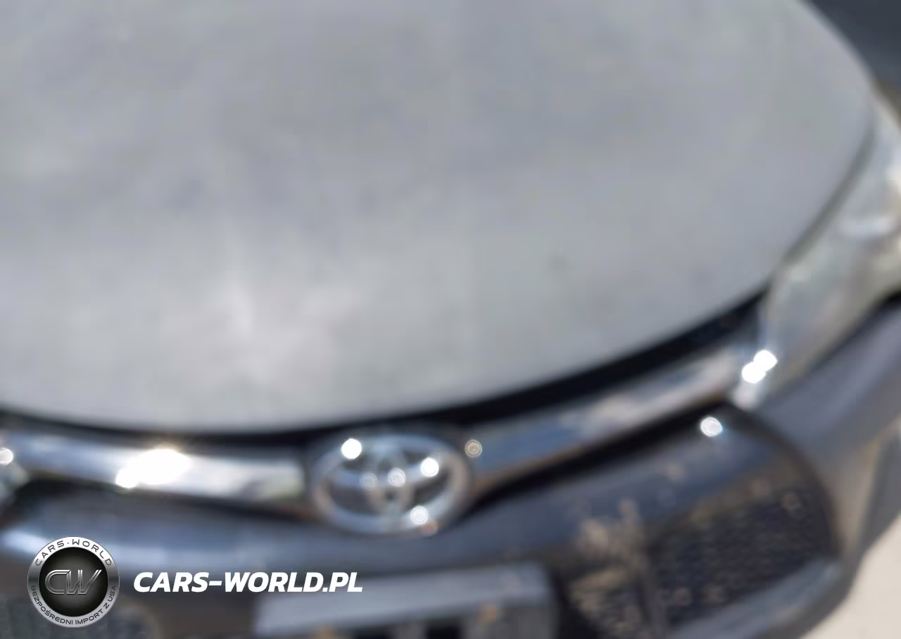 2015 Toyota Camry Se VIN:4T1BF1FK1FU071467 - 10