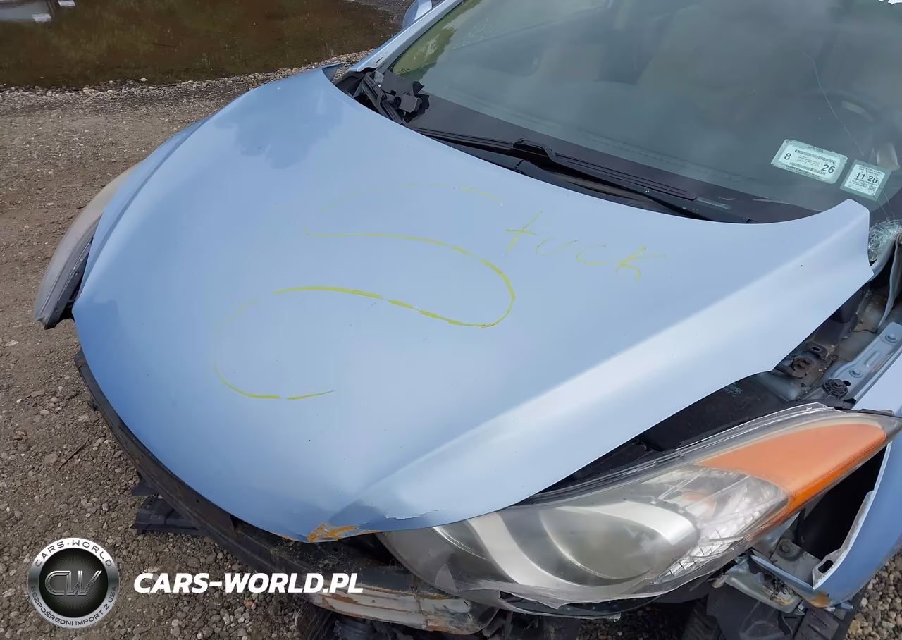 2013 Hyundai Elantra Limited VIN:KMHDH4AE5DU596311 - 10