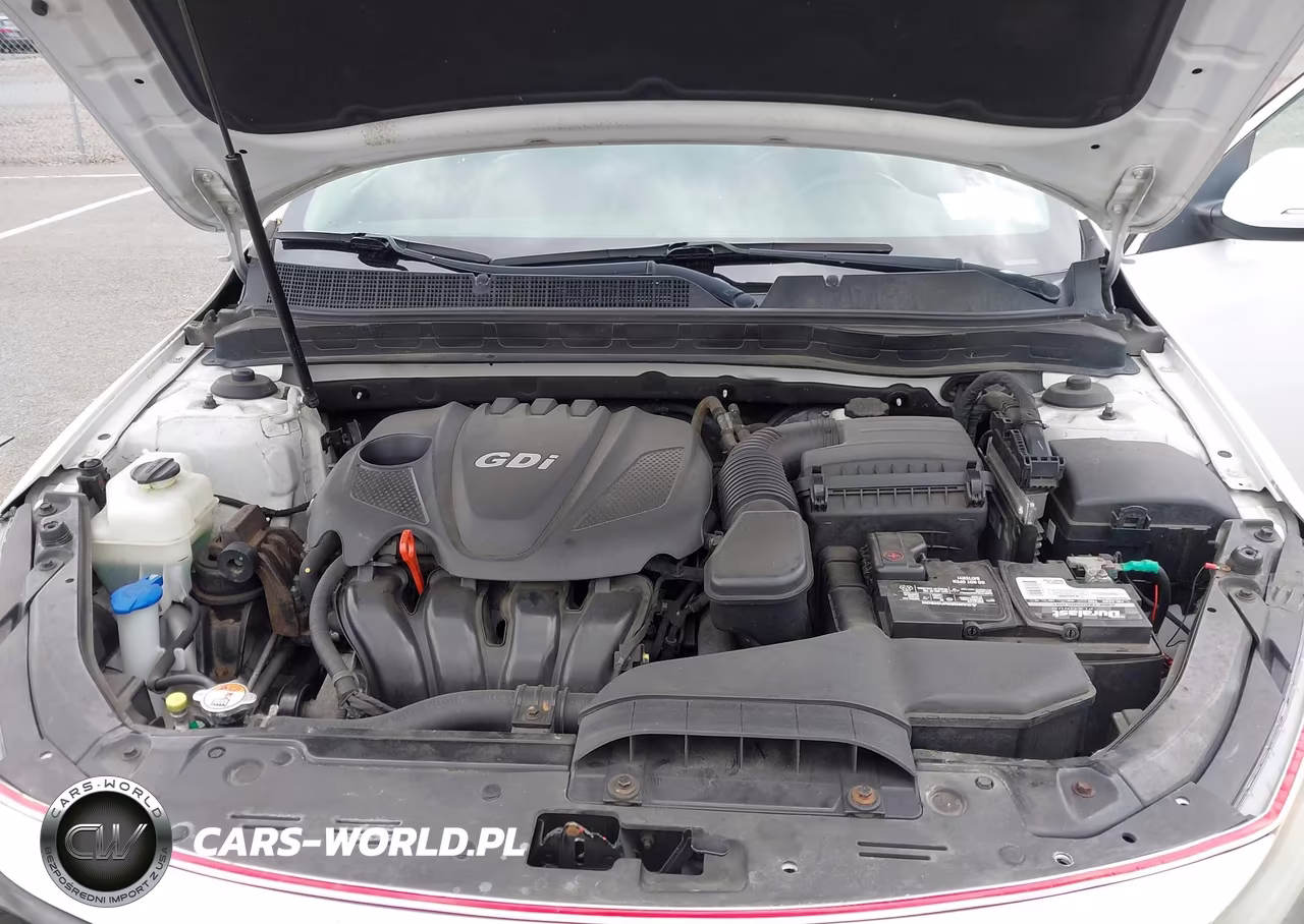 2015 Kia Optima Ex VIN:5XXGN4A70FG518345 - 10