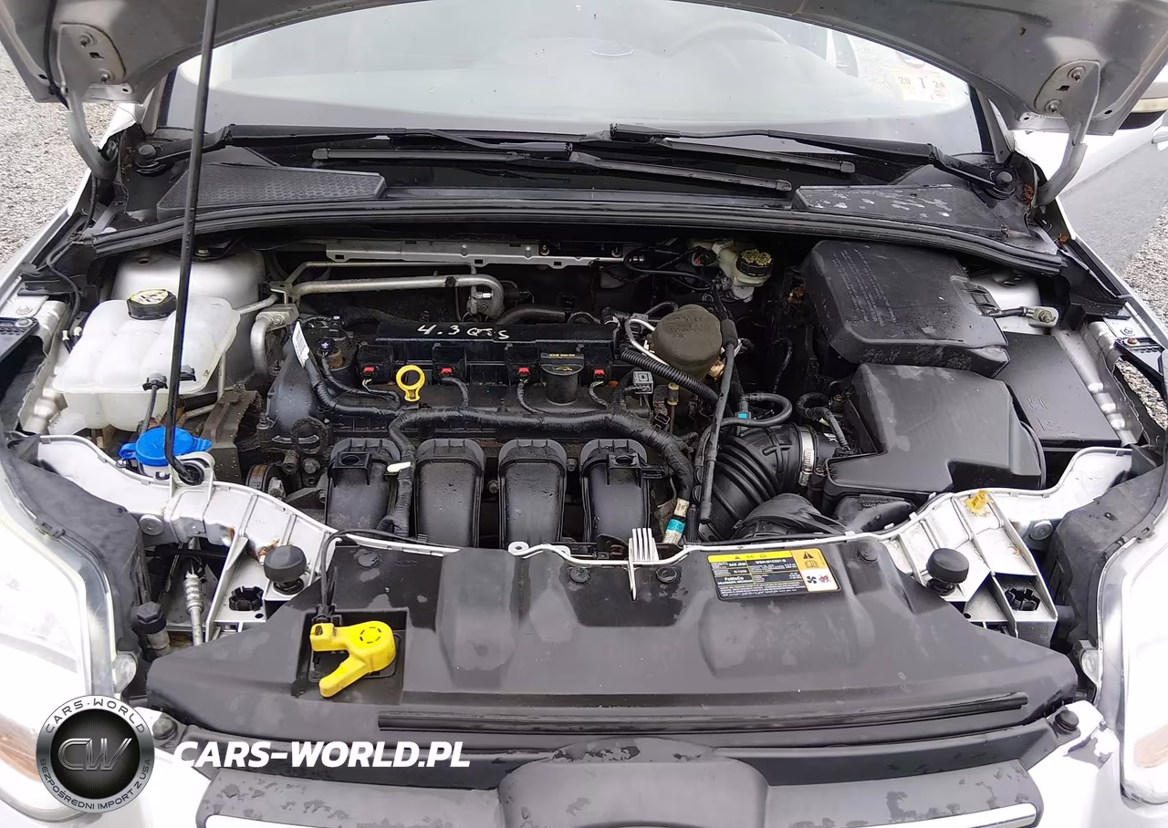 2013 Ford Focus Se VIN:1FADP3K28DL368000 - 10