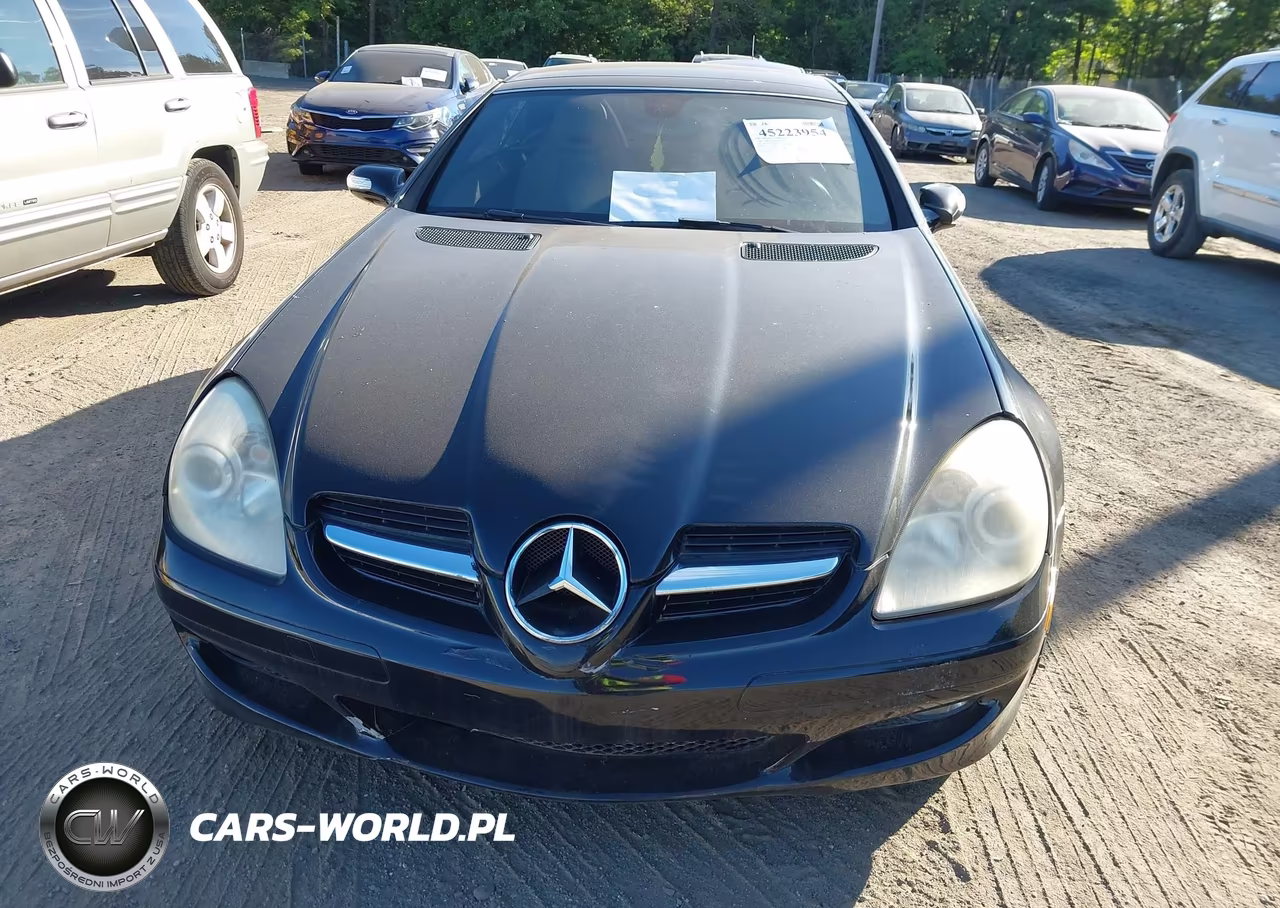 2006 Mercedes-Benz Slk 280 VIN:WDBWK54F76F077307 - 10