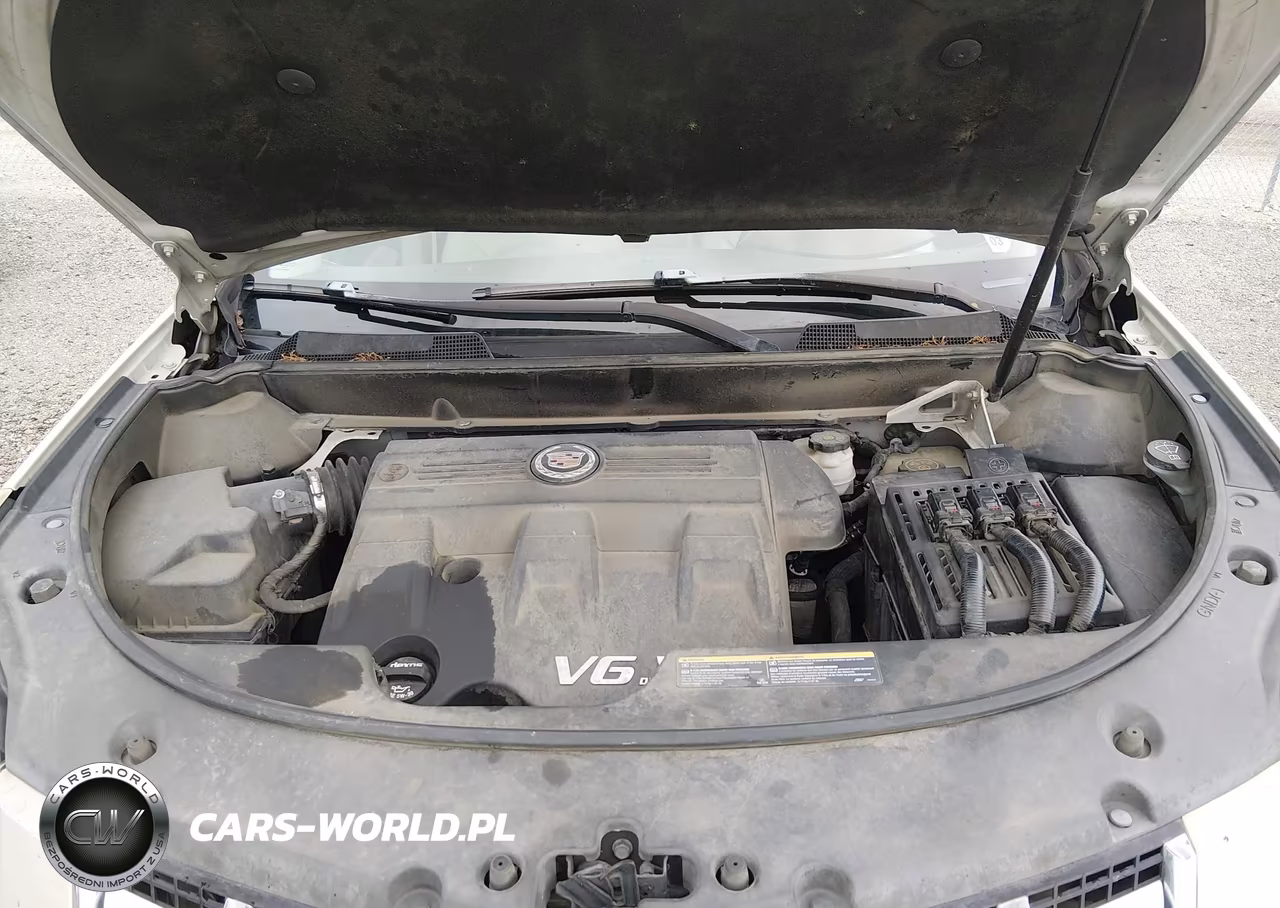 2013 Cadillac Srx Performance Collection VIN:3GYFNDE35DS594938 - 10