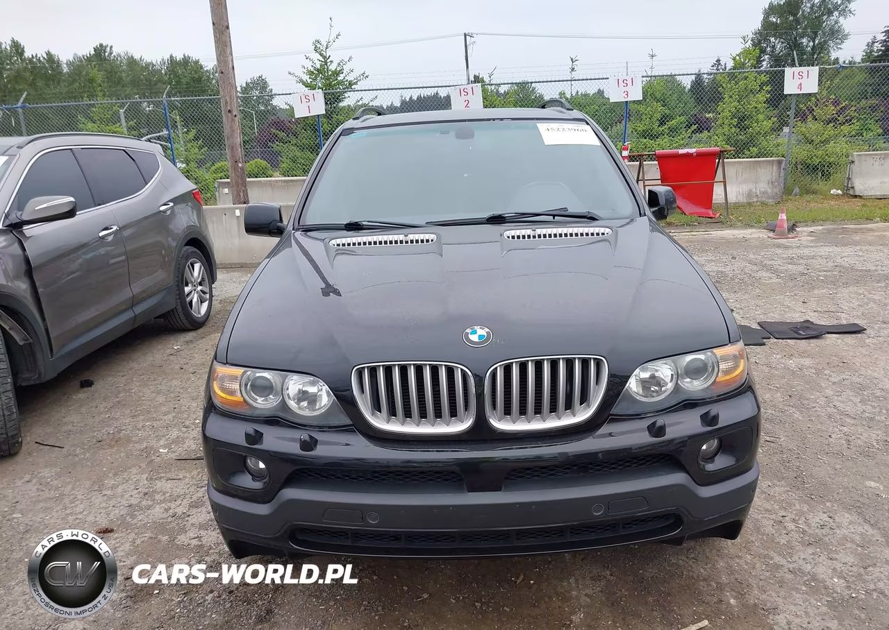2005 BMW X5 4.8Is VIN:5UXFA93535LE83316 - 12