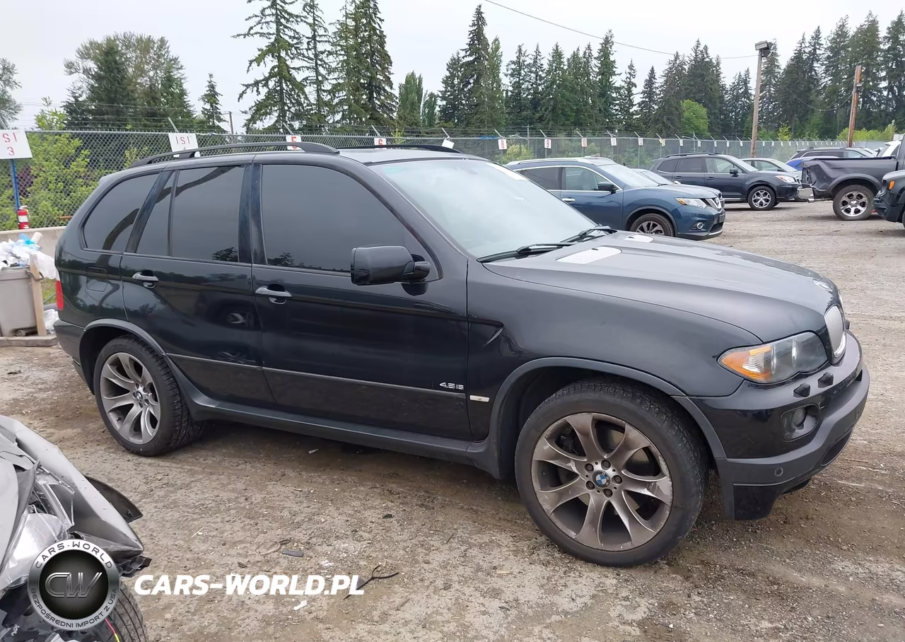 2005 BMW X5 4.8Is VIN:5UXFA93535LE83316 - 13
