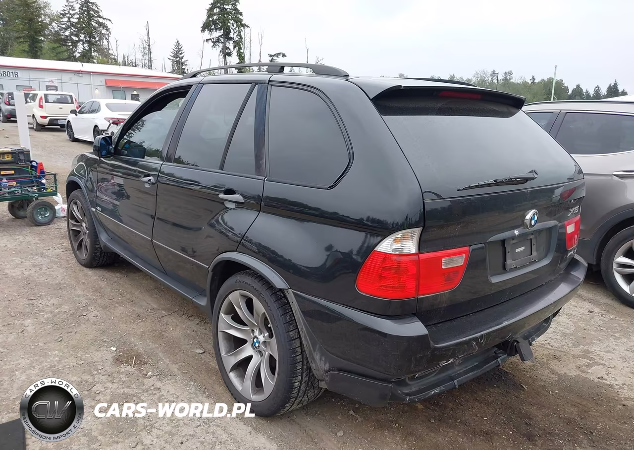 2005 BMW X5 4.8Is VIN:5UXFA93535LE83316 - 3