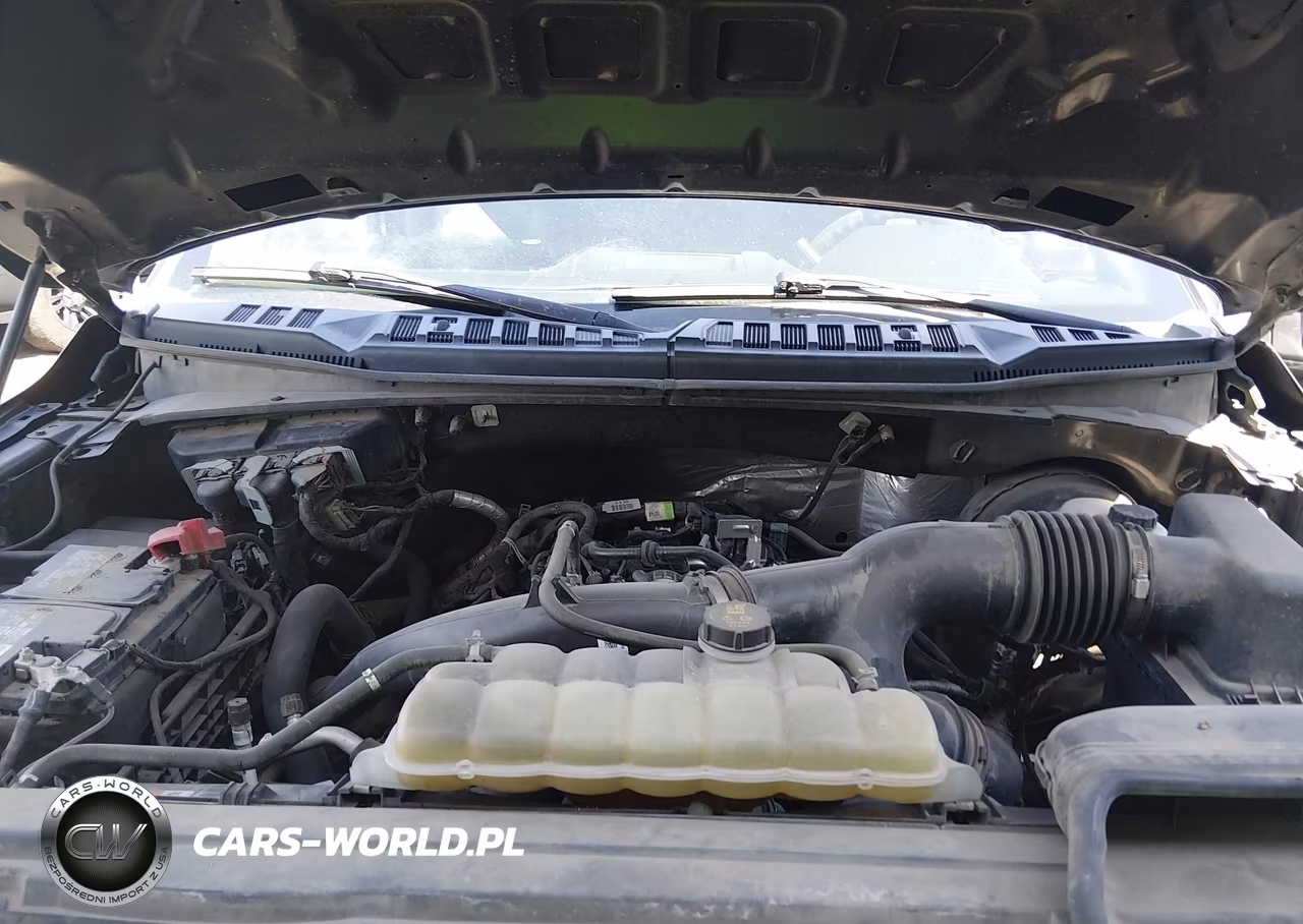 2019 Ford F-150 Xl VIN:1FTEW1CP8KKE05050 - 10