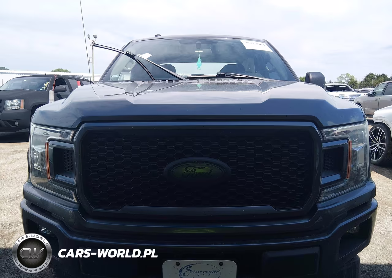 2019 Ford F-150 Xl VIN:1FTEW1CP8KKE05050 - 12