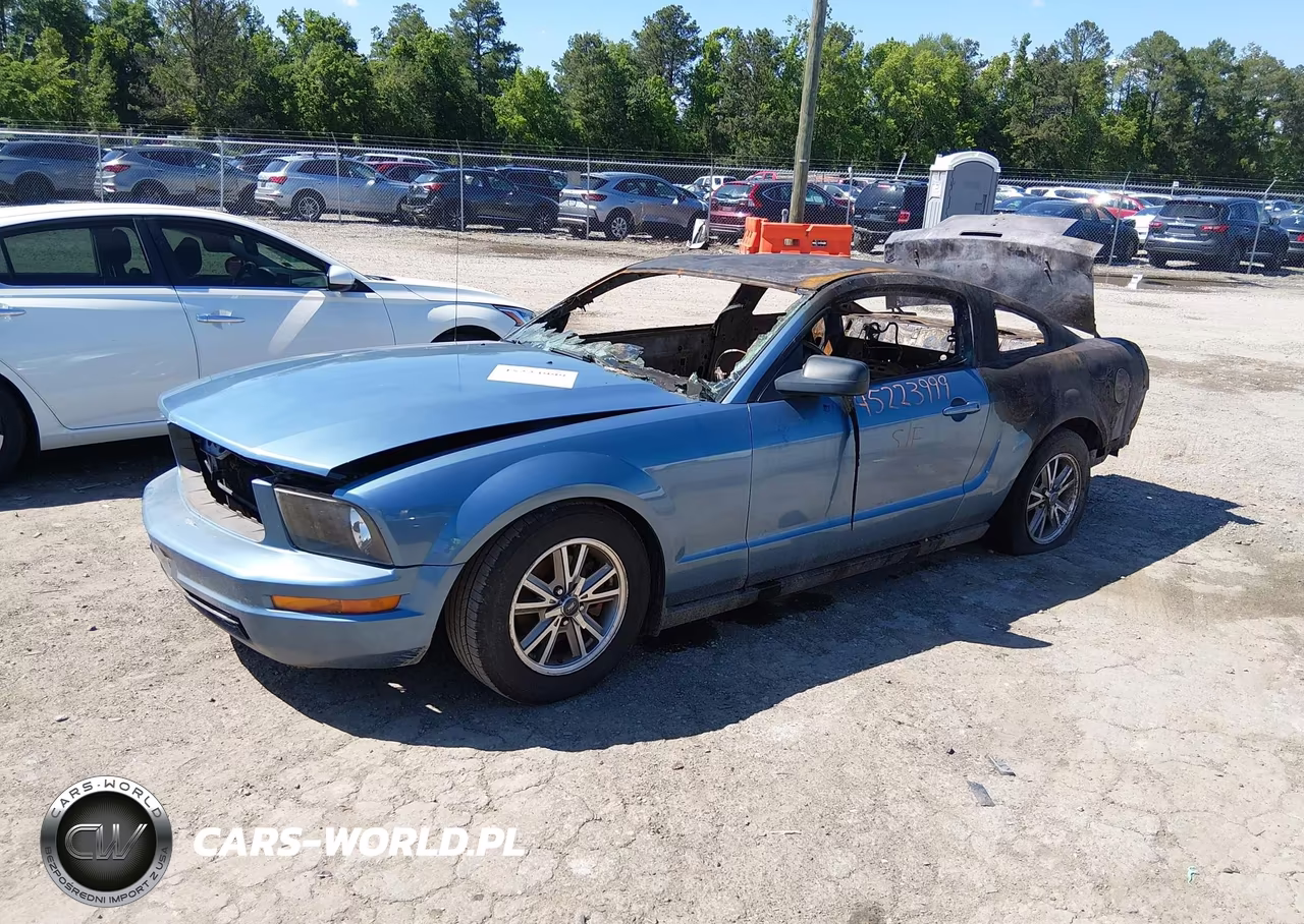 2006 Ford Mustang V6 VIN:1ZVHT80N565144561 - 2