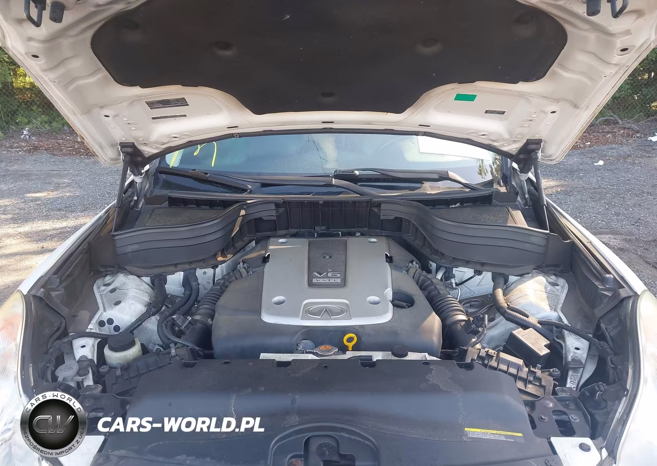 2016 Infiniti Qx50 VIN:JN1BJ0RR5GM265574 - 10