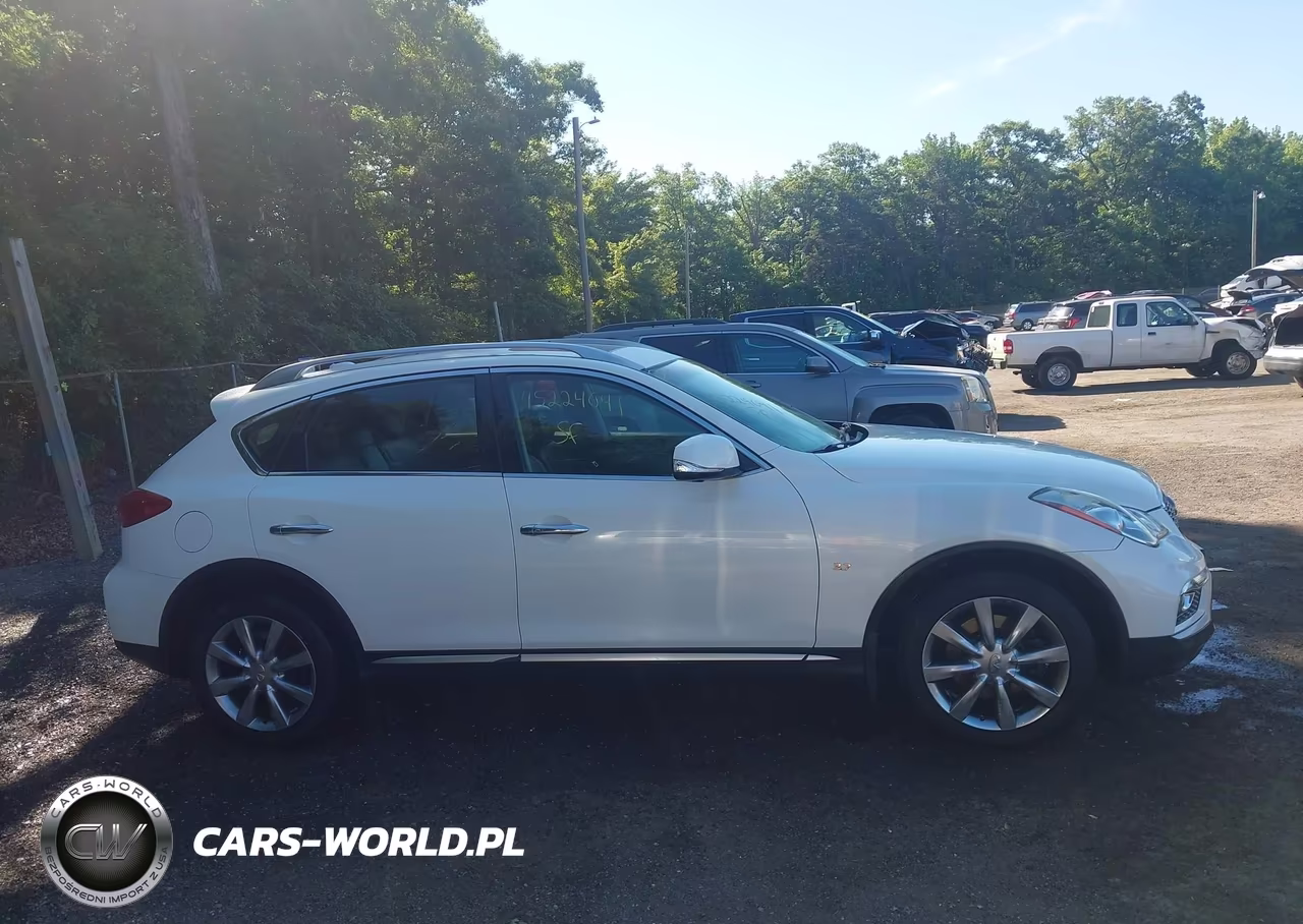 2016 Infiniti Qx50 VIN:JN1BJ0RR5GM265574 - 13