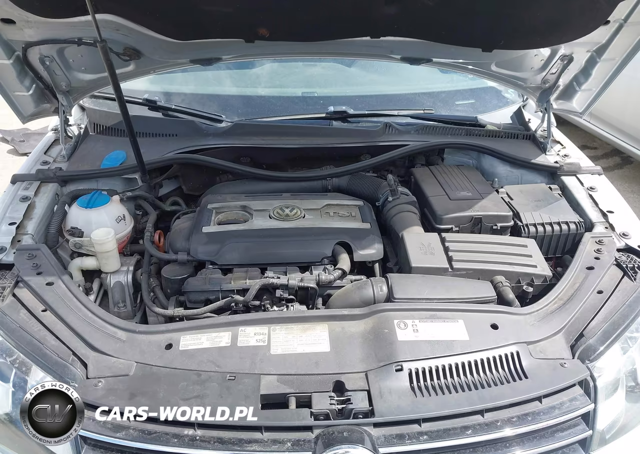 2013 Volkswagen Eos Sport VIN:WVWBW8AH7DV001424 - 10