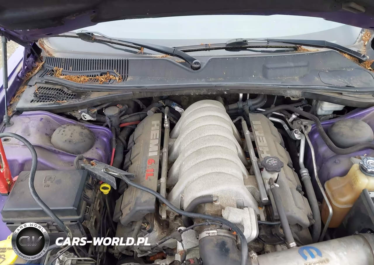 2010 Dodge Challenger Srt8 VIN:2B3CJ7DW7AH175278 - 10