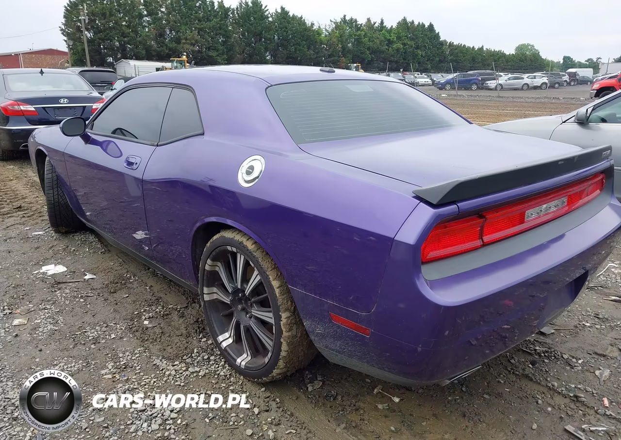 2010 Dodge Challenger Srt8 VIN:2B3CJ7DW7AH175278 - 3