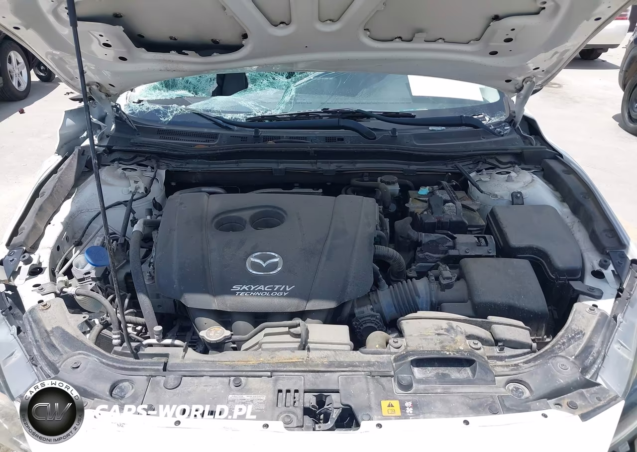 2017 Mazda Mazda3 Touring 2.5 VIN:JM1BN1L36H1115715 - 10