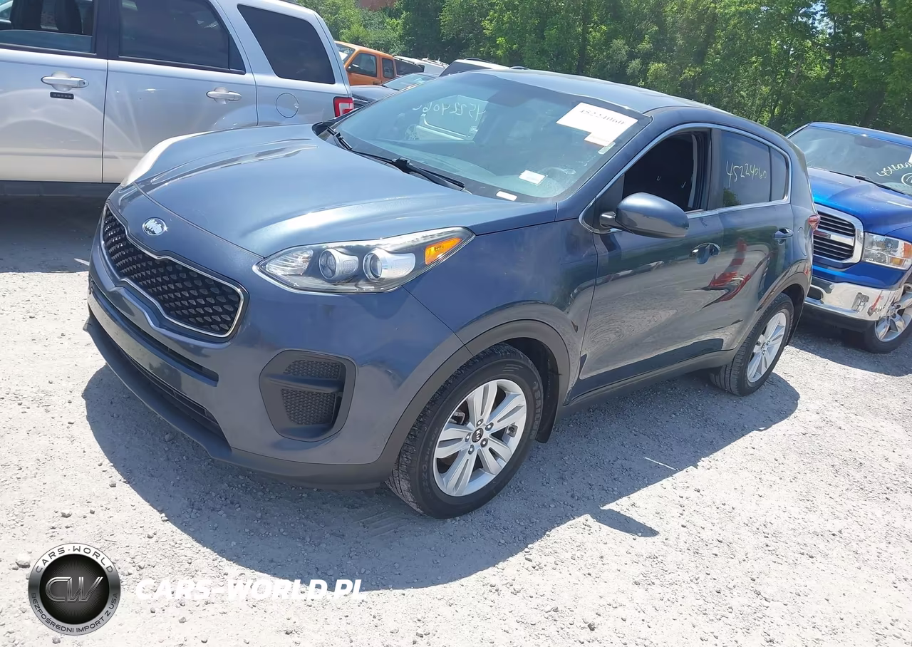 2019 Kia Sportage Lx VIN:KNDPM3AC2K7621635 - 2