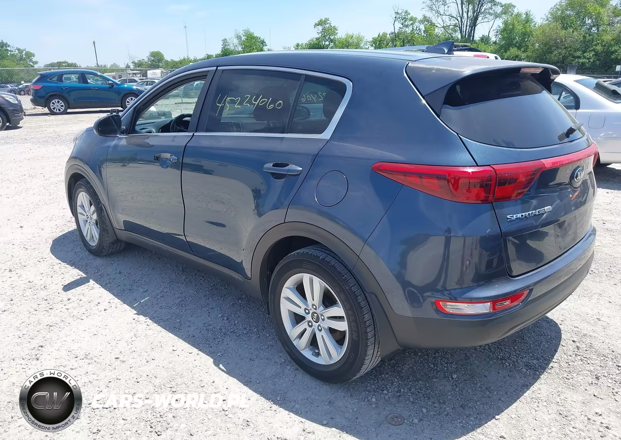 2019 Kia Sportage Lx VIN:KNDPM3AC2K7621635 - 3