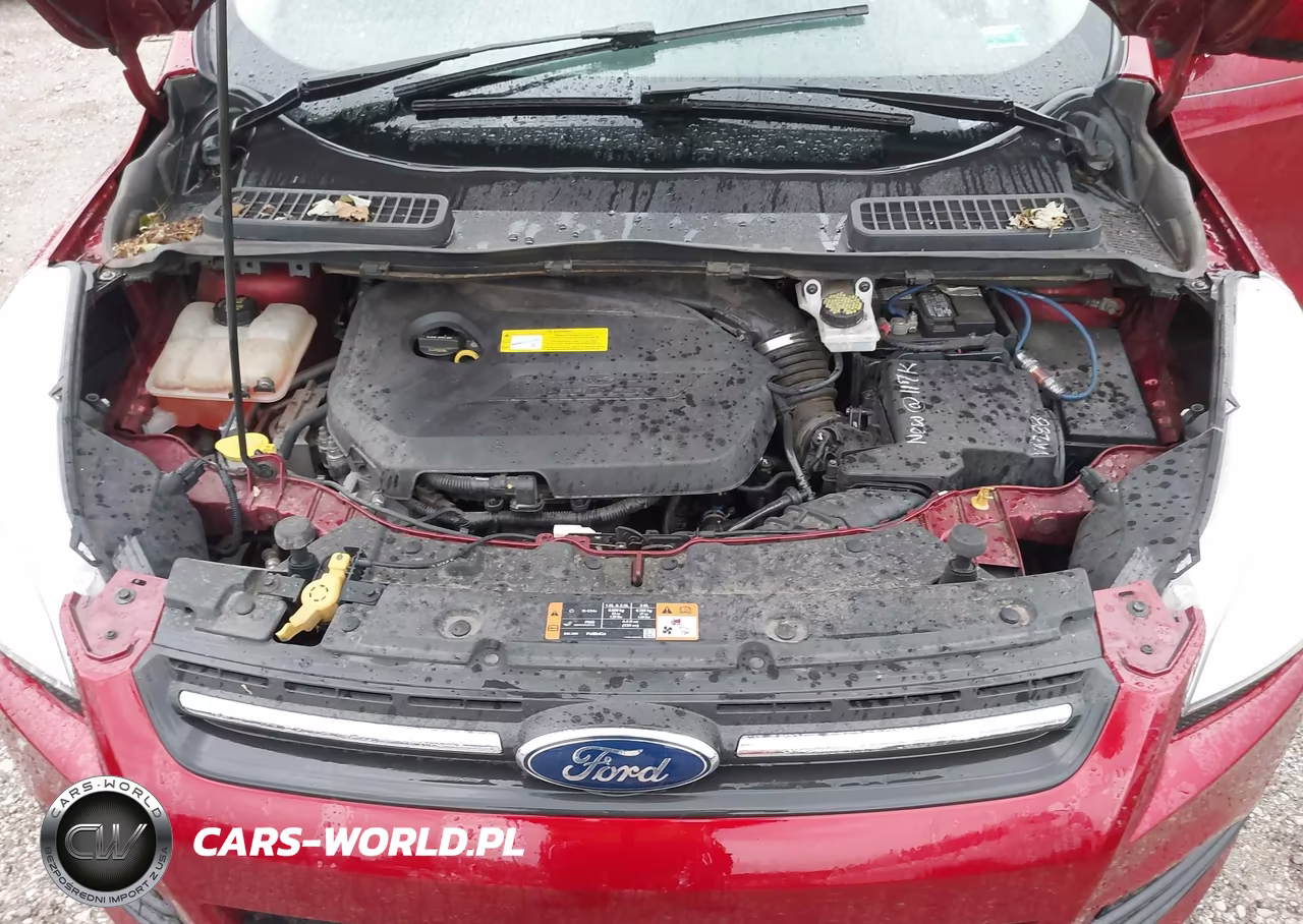 2015 Ford Escape Se VIN:1FMCU0GX3FUB92600 - 10