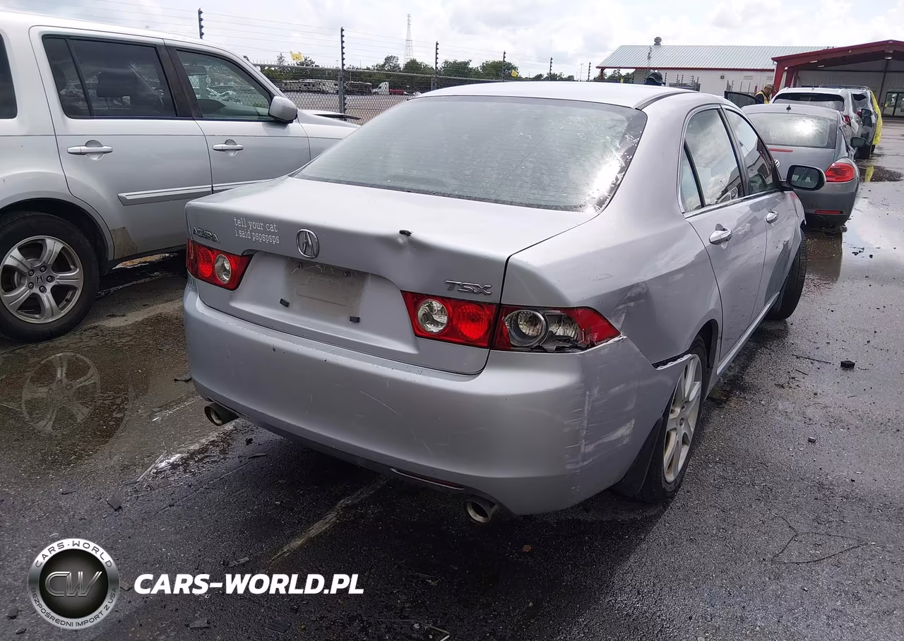 2004 Acura Tsx VIN:JH4CL96864C026188 - 4
