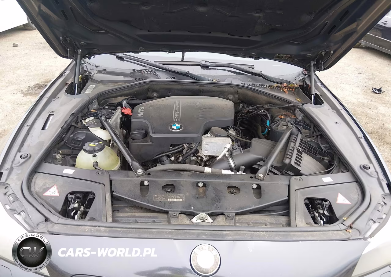 2012 BMW 528I VIN:WBAXG5C54CDW24330 - 10