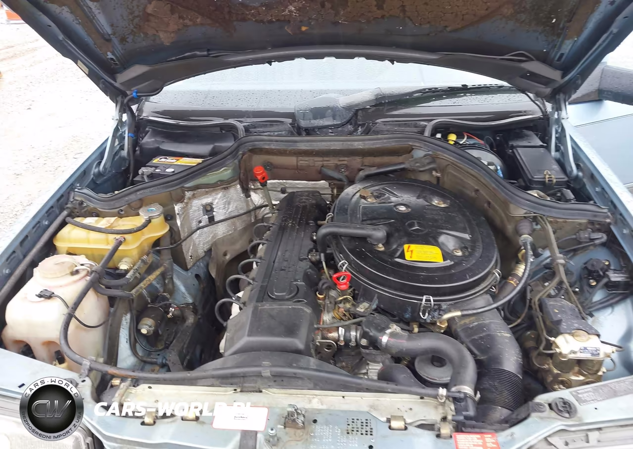 1989 Mercedes-Benz 260 E VIN:WDBEA26D6KA994299 - 10