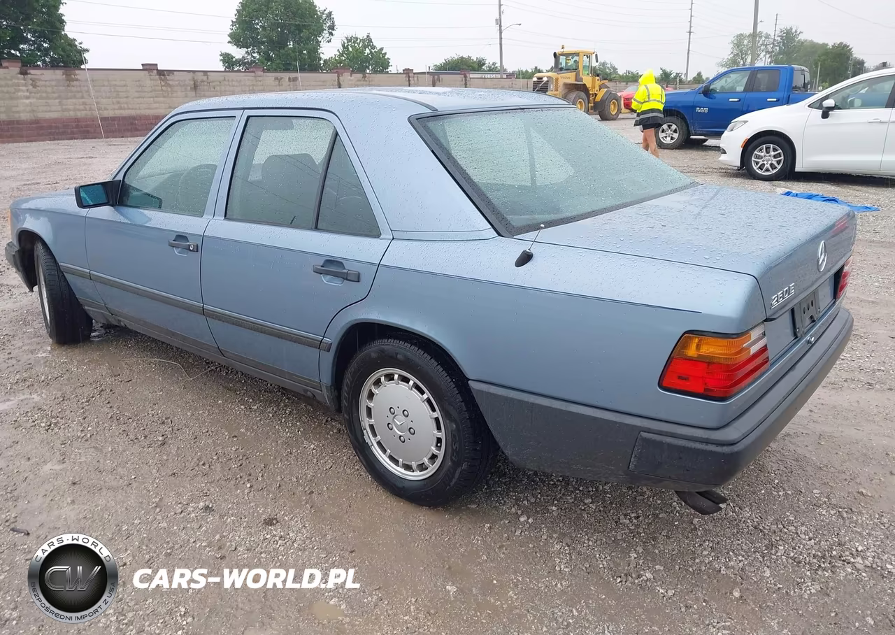 1989 Mercedes-Benz 260 E VIN:WDBEA26D6KA994299 - 3