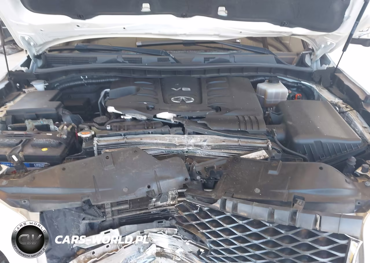 2016 Infiniti Qx80 Limited VIN:JN8AZ2NE5G9123958 - 10