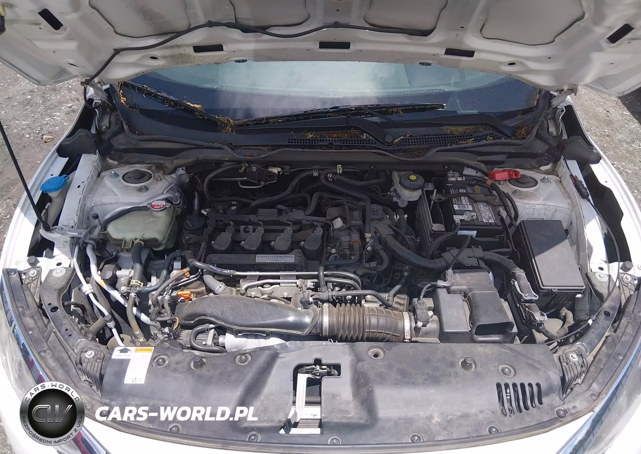 2016 Honda Civic Ex-L VIN:19XFC1F78GE042557 - 10