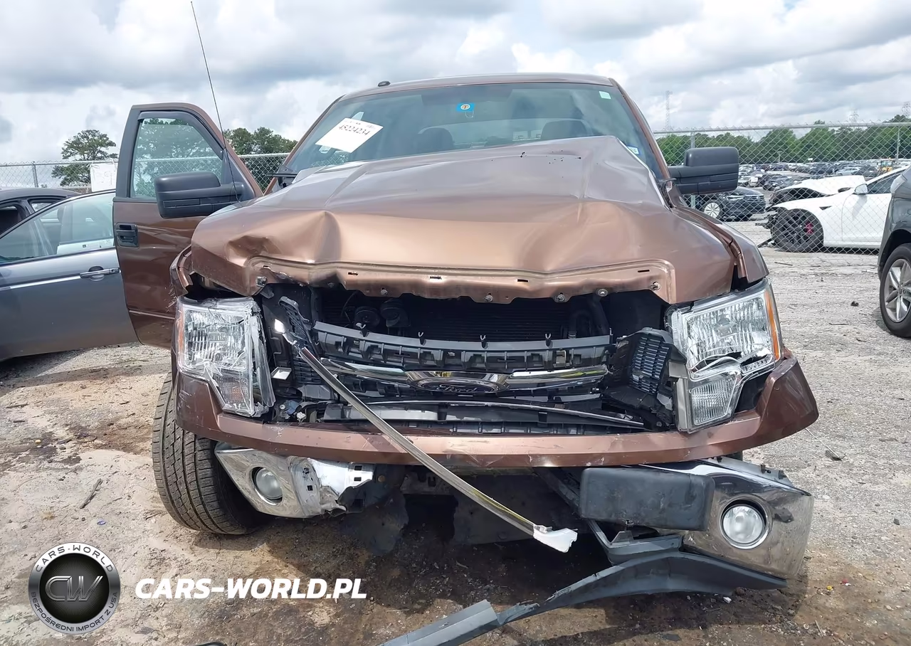 2011 Ford F-150 Xlt VIN:1FTFW1CF8BFB61338 - 12