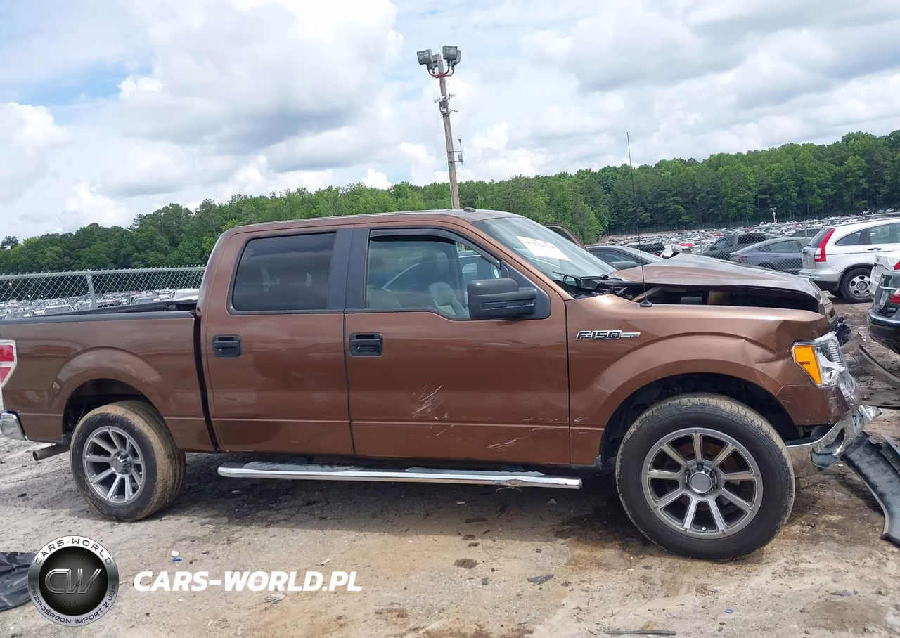 2011 Ford F-150 Xlt VIN:1FTFW1CF8BFB61338 - 13