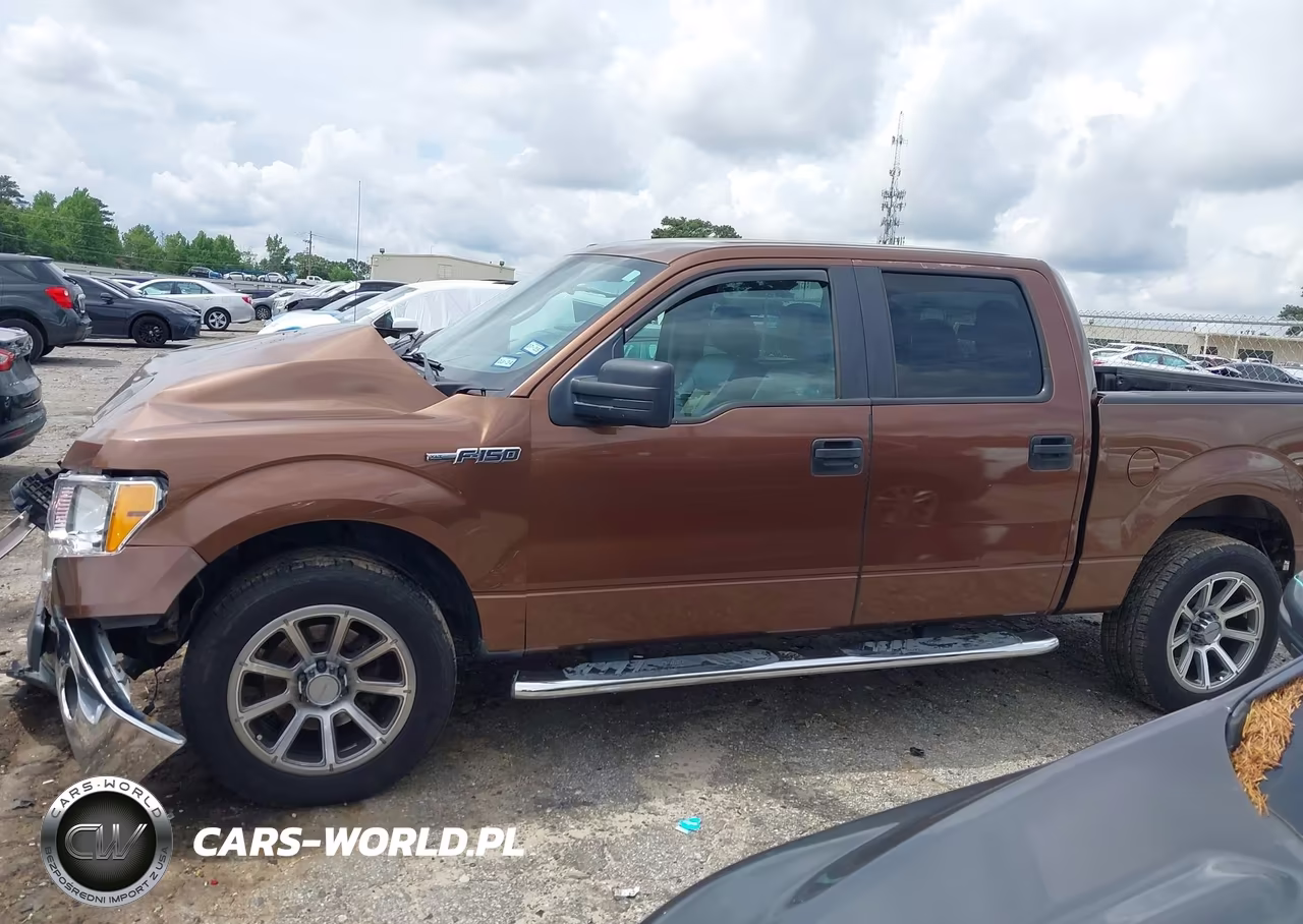2011 Ford F-150 Xlt VIN:1FTFW1CF8BFB61338 - 14