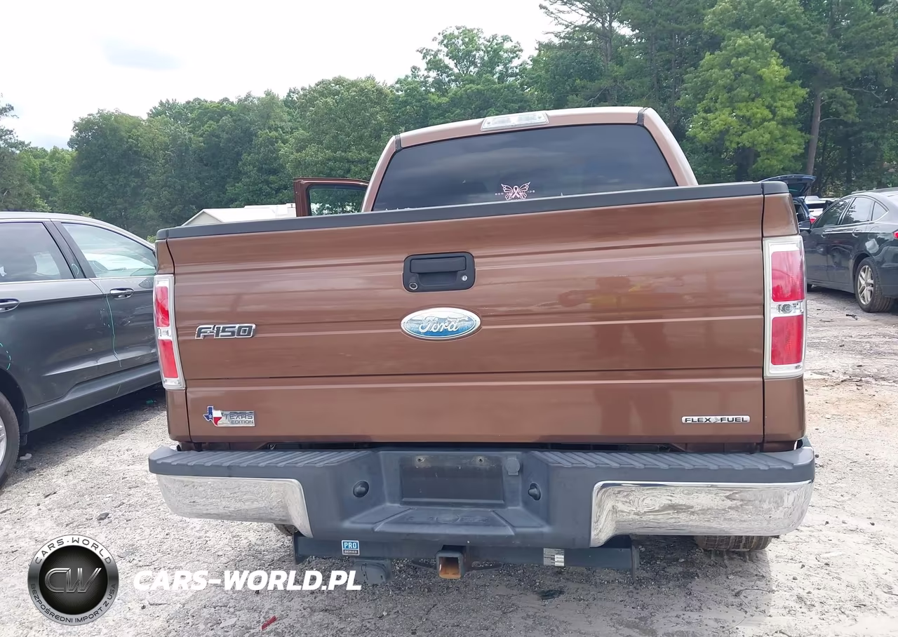 2011 Ford F-150 Xlt VIN:1FTFW1CF8BFB61338 - 16