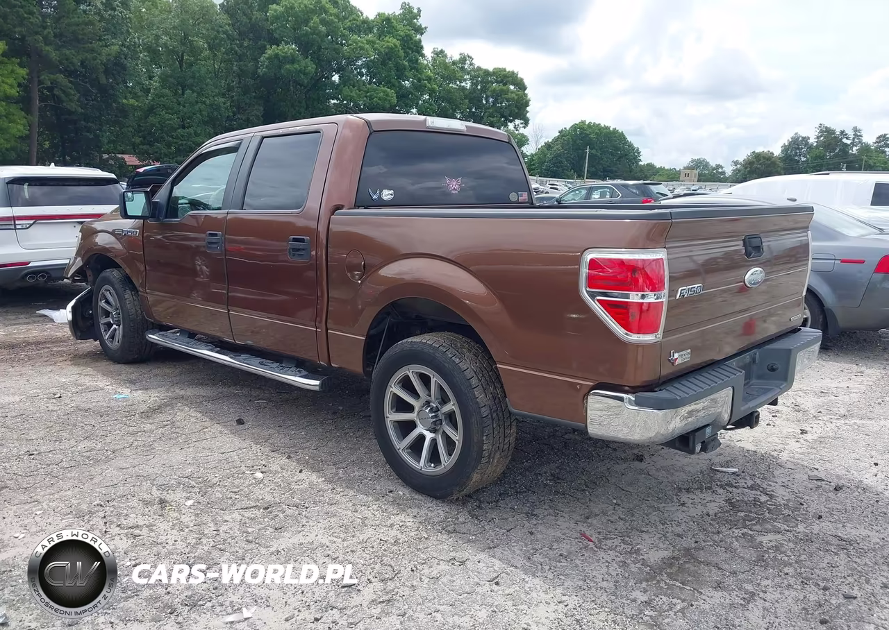 2011 Ford F-150 Xlt VIN:1FTFW1CF8BFB61338 - 3