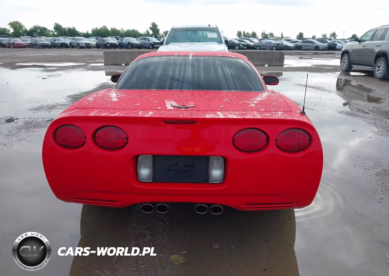 2004 Chevrolet Corvette Z06 Hardtop VIN:1G1YY12S245111845 - 16