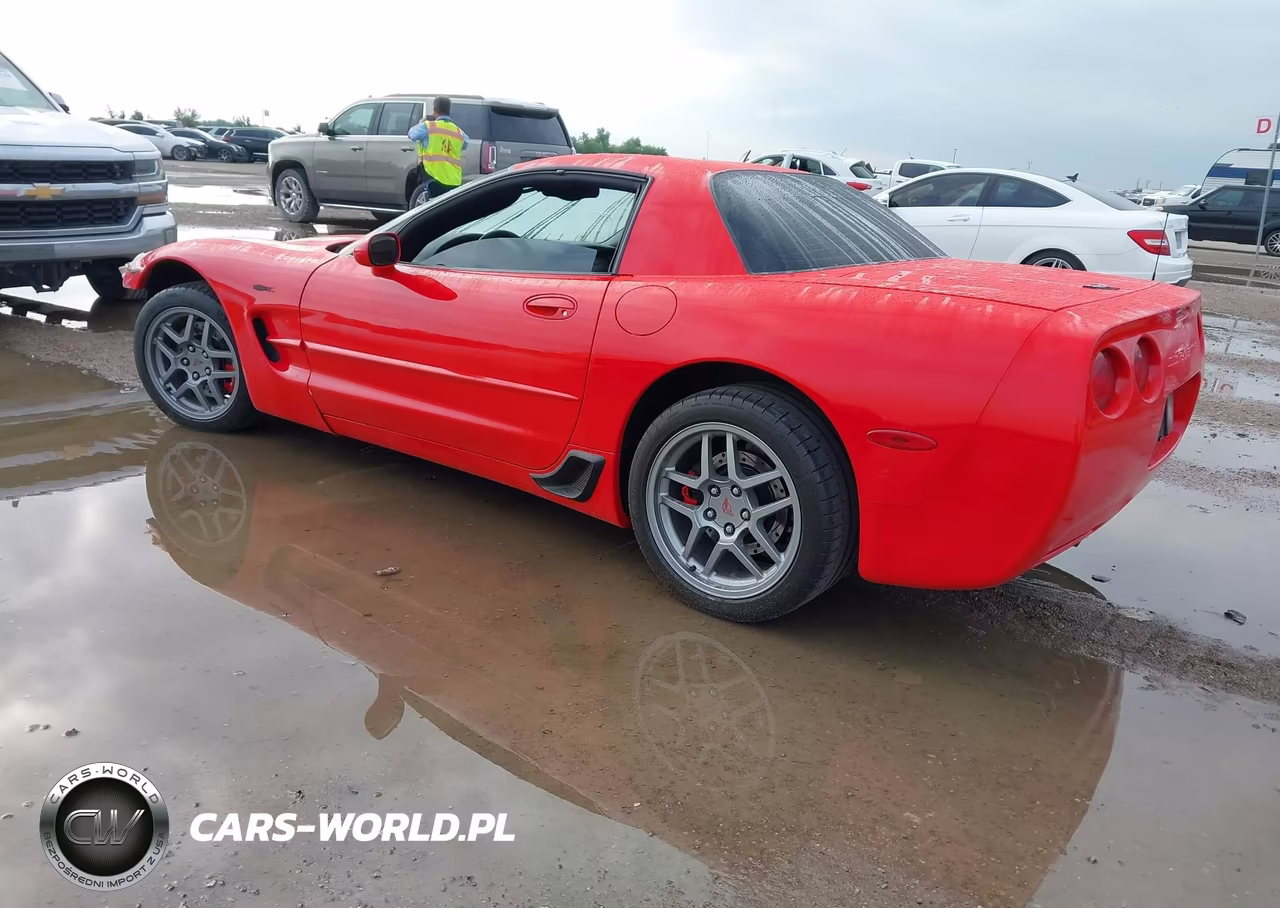 2004 Chevrolet Corvette Z06 Hardtop VIN:1G1YY12S245111845 - 3