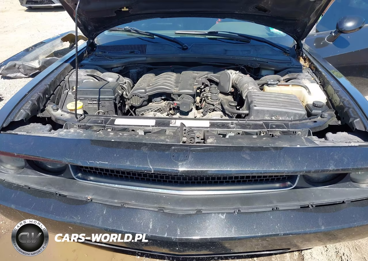 2009 Dodge Challenger Se VIN:2B3LJ44V09H609686 - 10