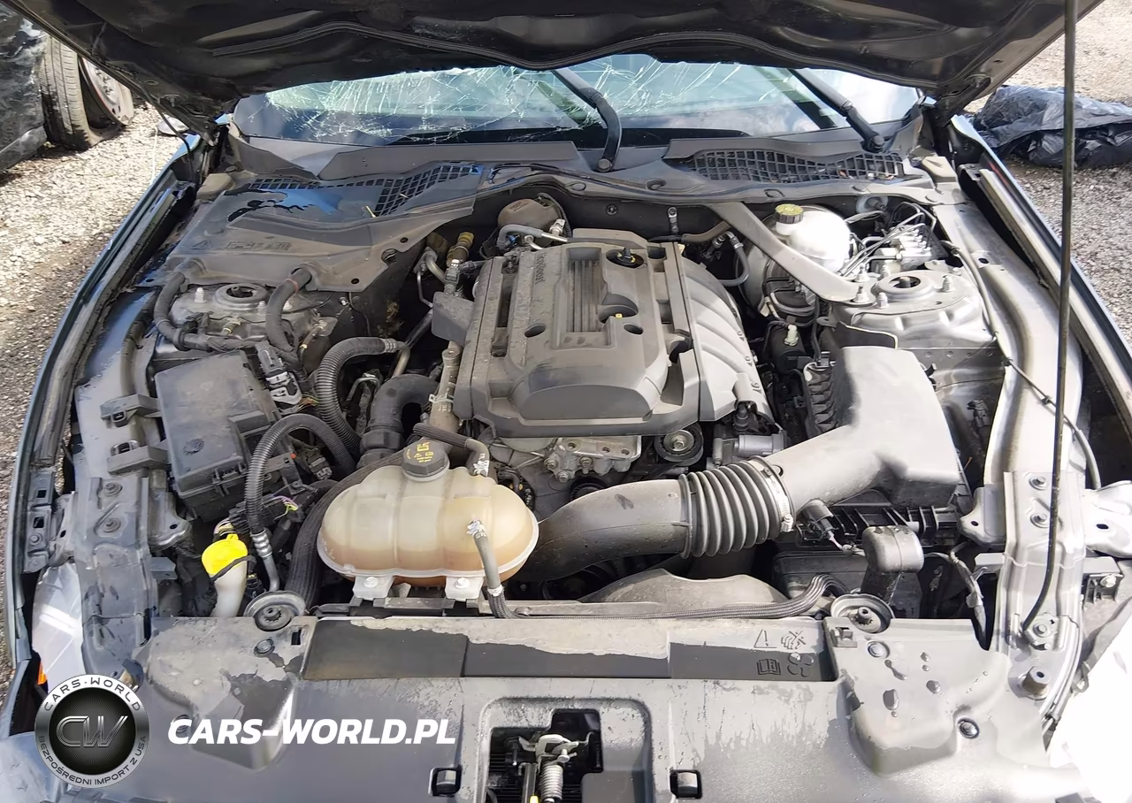 2018 Ford Mustang Ecoboost VIN:1FA6P8TH1J5172070 - 10