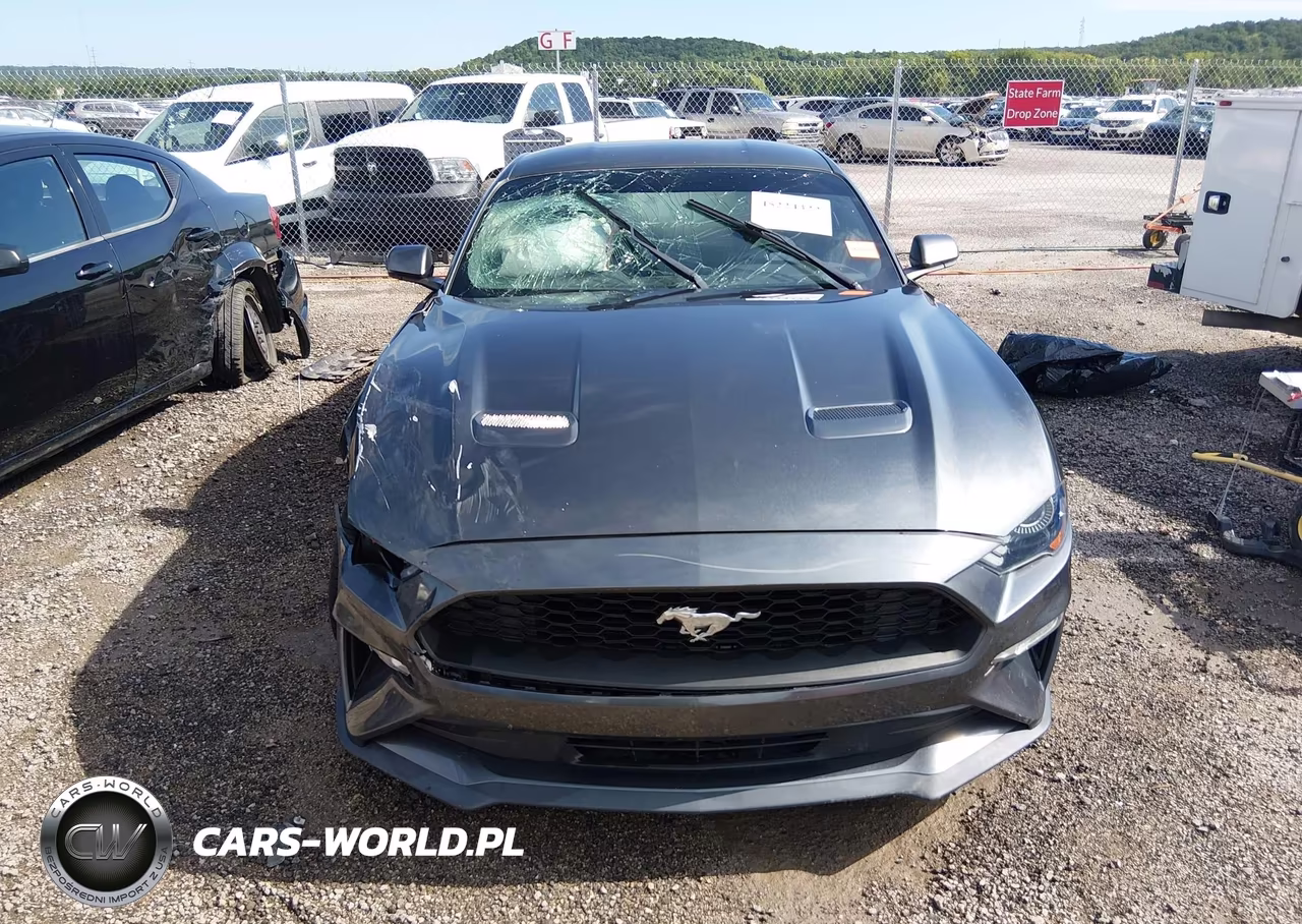 2018 Ford Mustang Ecoboost VIN:1FA6P8TH1J5172070 - 12