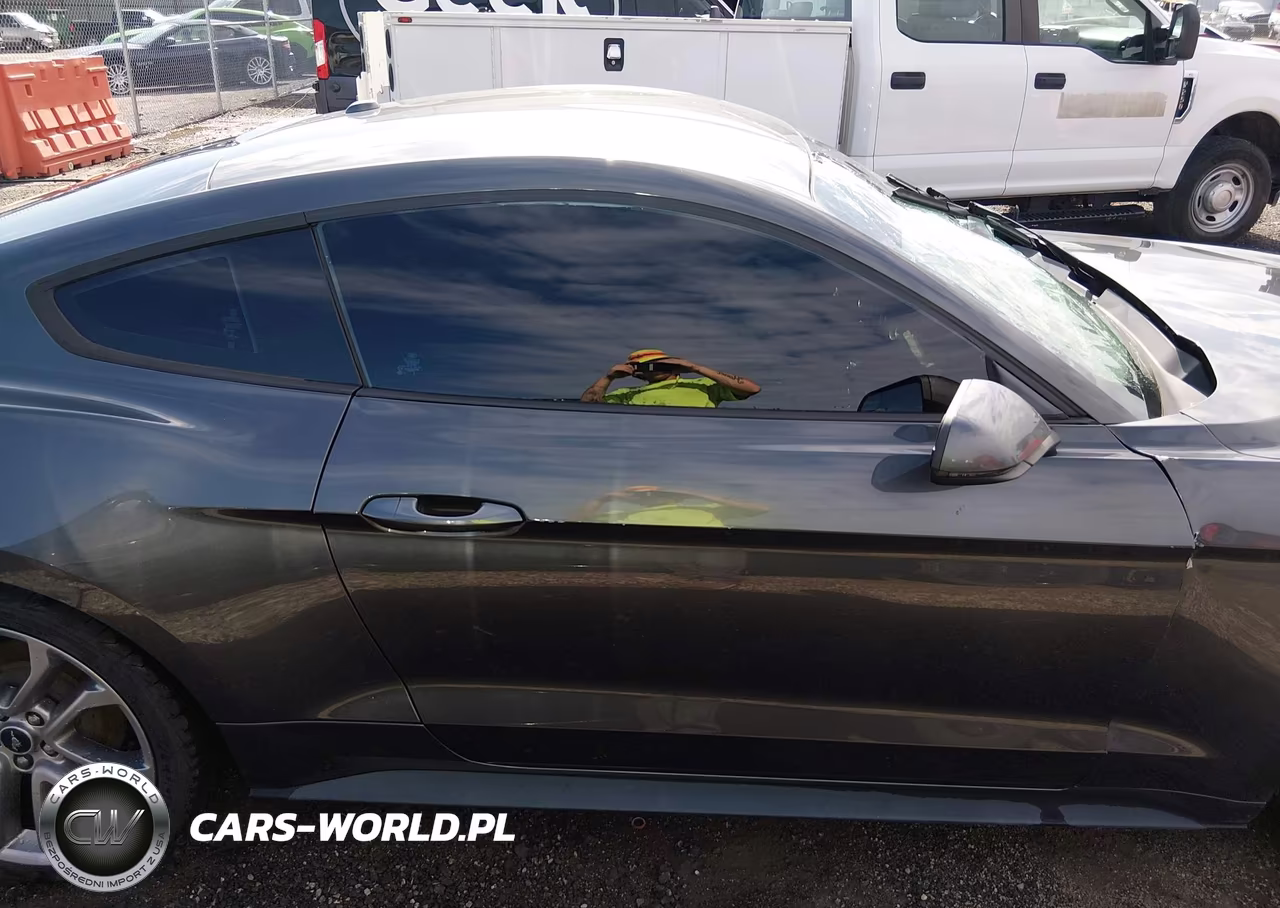 2018 Ford Mustang Ecoboost VIN:1FA6P8TH1J5172070 - 13