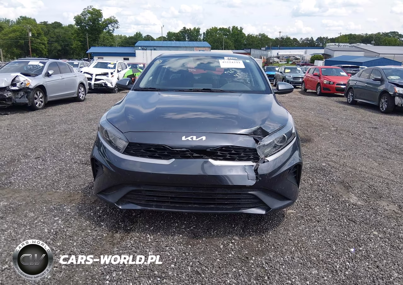 2022 Kia Forte Lxs VIN:3KPF24AD9NE466795 - 12